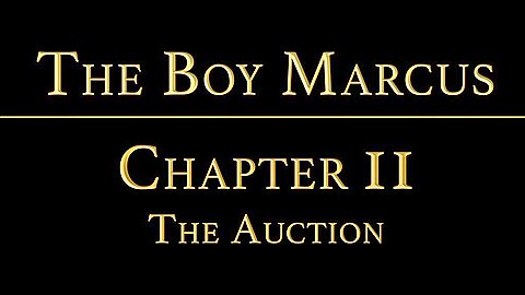 THE BOY MARCUS Chapter 2 - The Auction