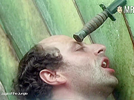 Top 5 Jugs of the Jungle - Mr Skin
