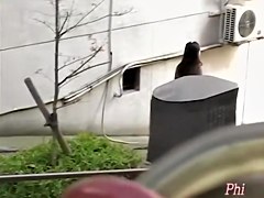 Valiant pretty babe having sharking affair when she didn t expected