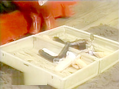 Vanessa Del Rio - Toy Training VHSrip