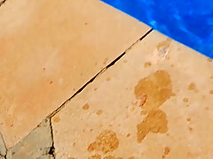 Wet Transparencies