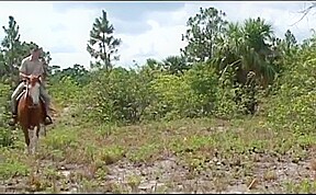 Wild rangers (3)