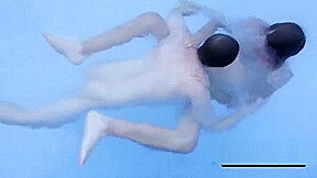 Young tattooed skater twink gets his cock deepthroated in th