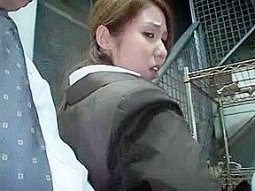 Youthful Officegirl in Teach