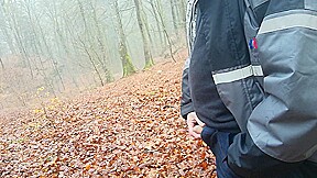a cold morning walk in the woods