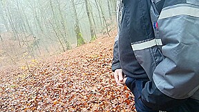 a cold morning walk in the woods