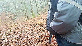 a cold morning walk in the woods