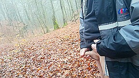 a cold morning walk in the woods