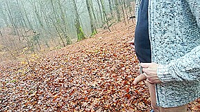 a cold morning walk in the woods