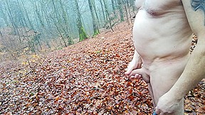 a cold morning walk in the woods