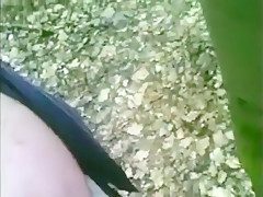 abuelo se corre en el campo