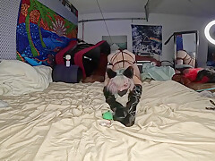 [abx][3][917] - Cute Femboy Kitten (explosive Cumshot)
