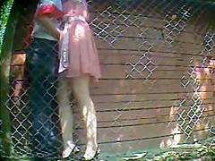 couple - outdoor fucking