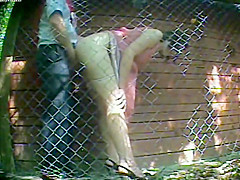 couple - outdoor fucking