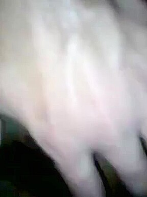 gozando dentro