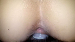 perrito 1