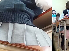 school of farts