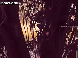 sex foret