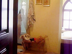 shower 1