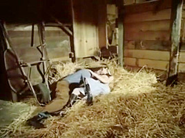 teen 18+ Fucked In The Barn