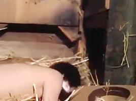 teen 18+ Fucked In The Barn