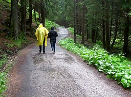 walking up the mountain